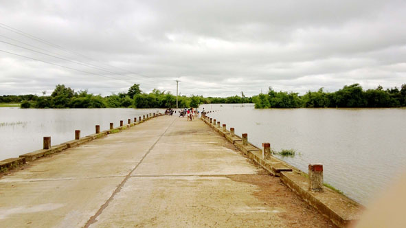 Đắk Lắk Đảm bảo an toàn giao thông đường thủy trong mùa mưa lũ